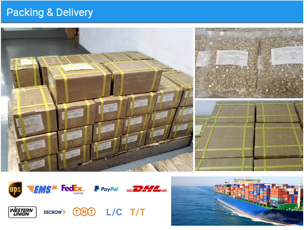 FORAY Hardware Packaging and Delivery, Carton Pallet Packing, Sea Freight & Express Shipping (DHL, FedEx, UPS) 